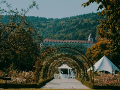 Faculty of Agriculture and Life Sciences