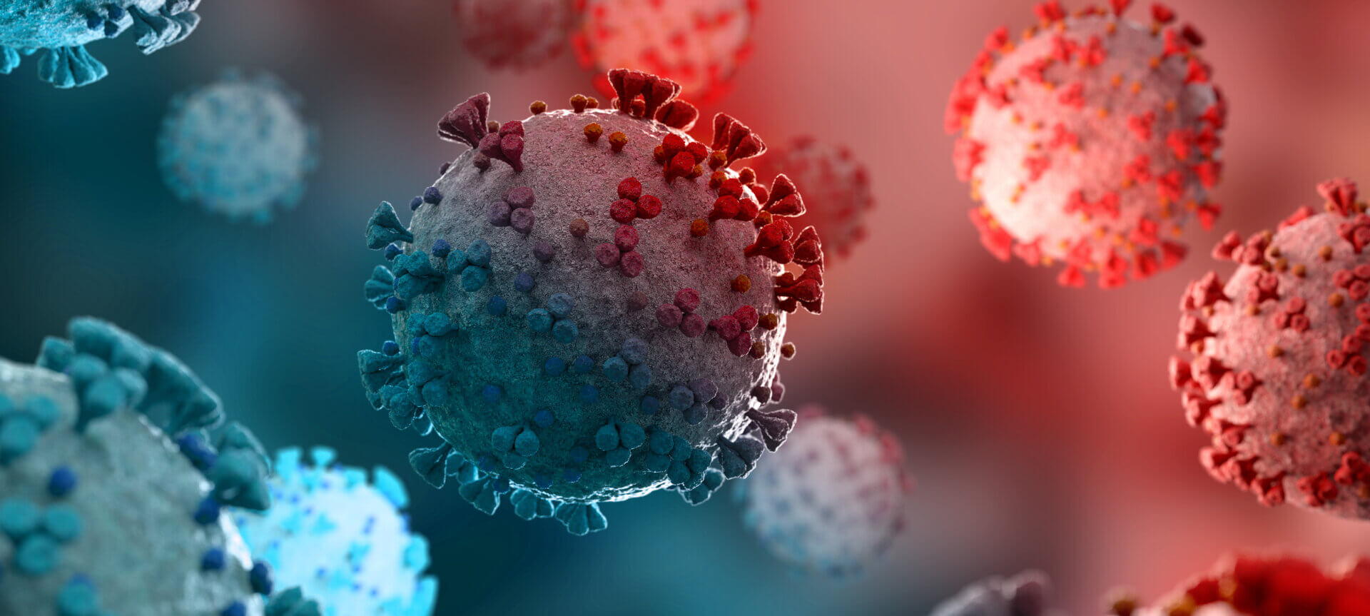 Microscopic close-up of the covid-19 disease. Coronavirus illnes