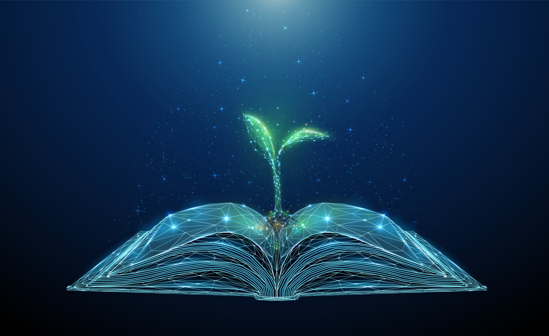 Abstract open book with growing young plant