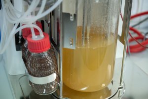 Oprema za proizvodnjo bioloških substanc in njihovo detekcijo: bioreaktor