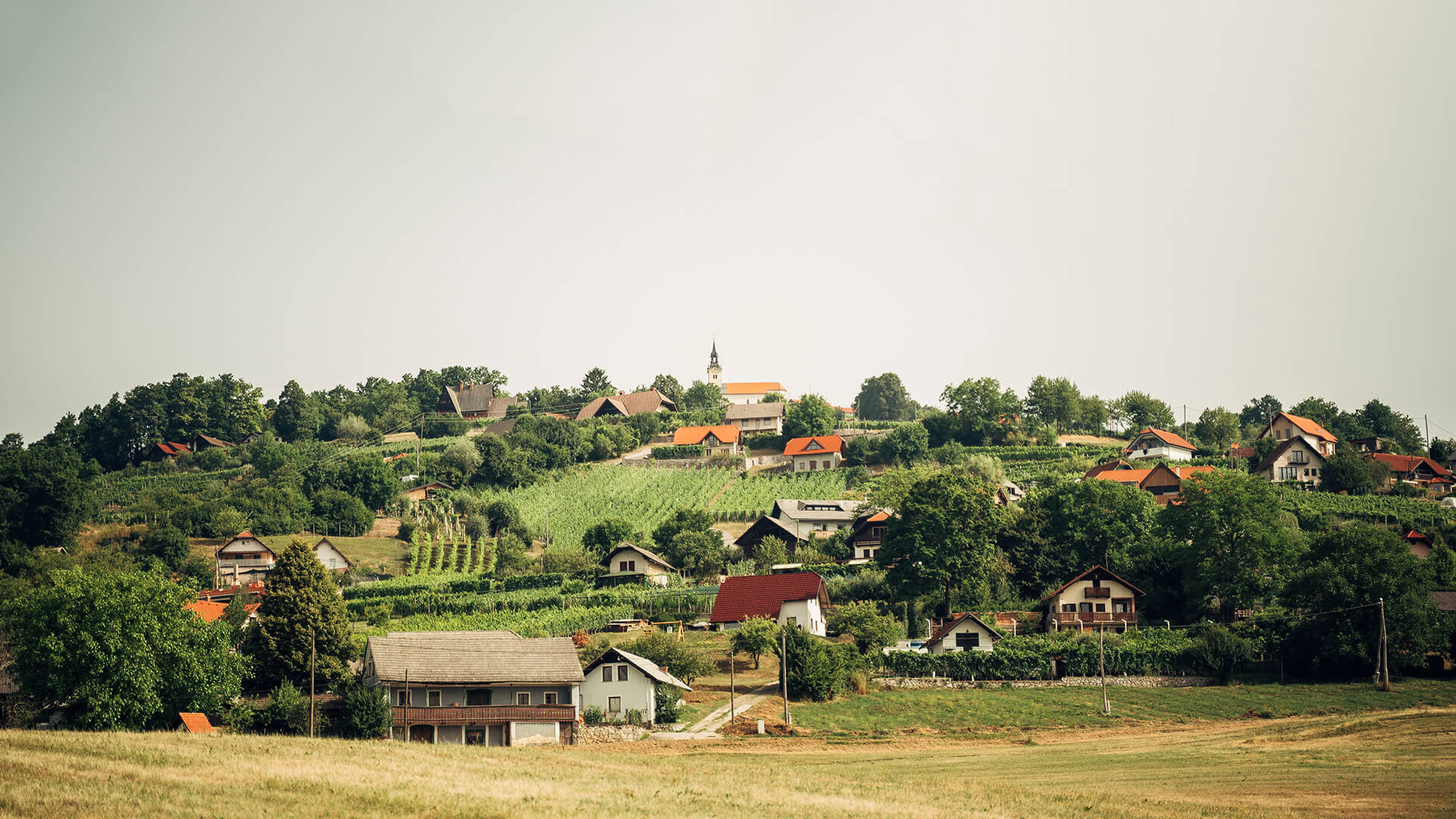 Kulturna dediščina