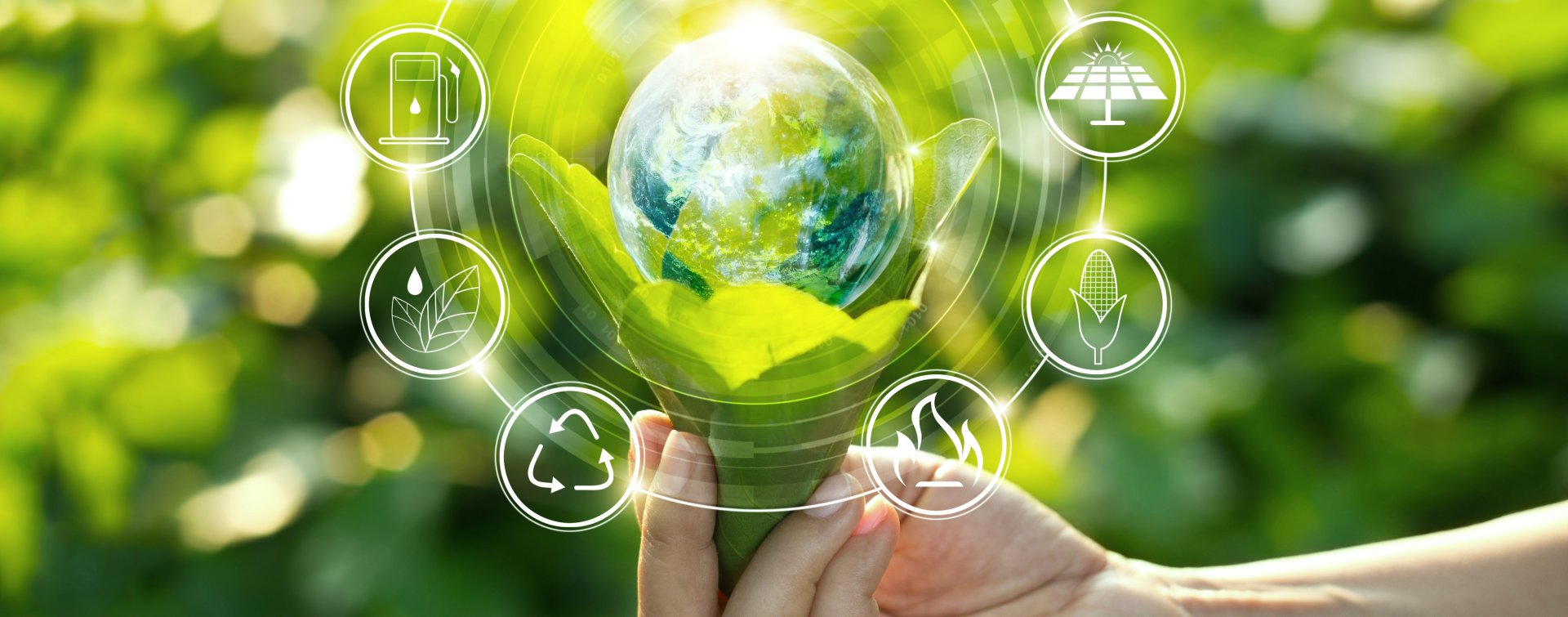 AdobeStock_219080320